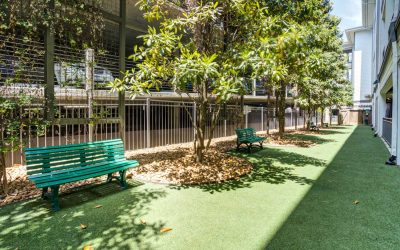 CarolineUptownWest_dogpark-1