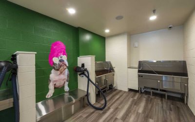 Pearl-Marketplace-Midtown-dogwash-1